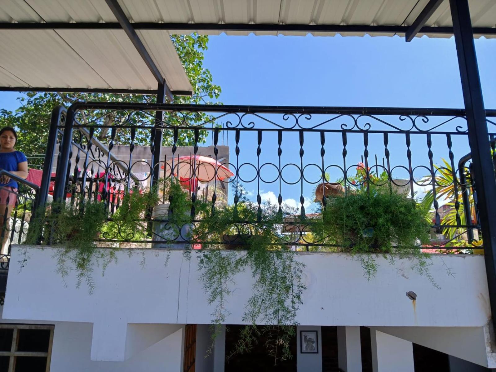 Alojamiento Familiar Custodia Tarapoto Extérieur photo