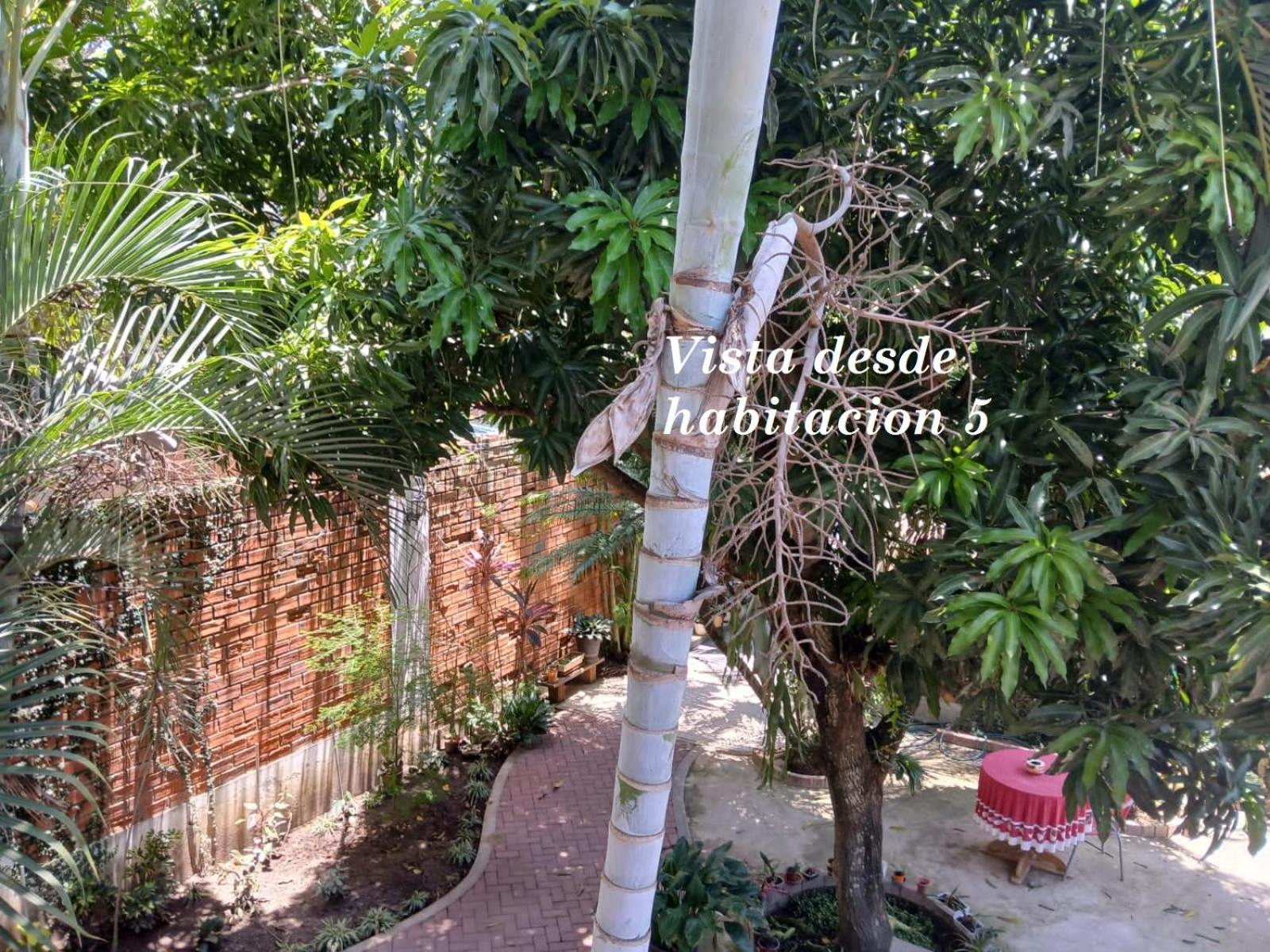Alojamiento Familiar Custodia Tarapoto Extérieur photo